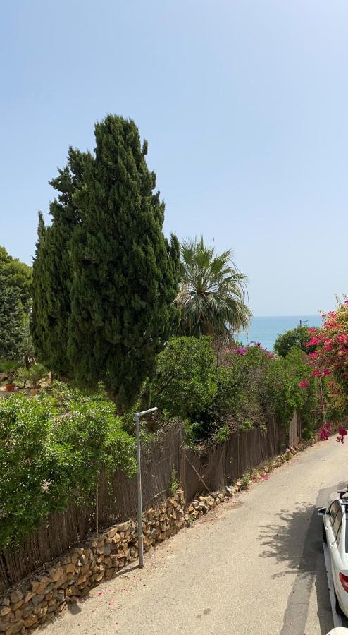 Apartamento Playa Las Ventanicas 莫哈卡尔 外观 照片